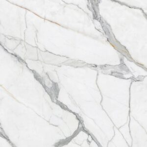 Italy Fishmaw White
